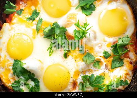 Shakshuka-Eier schließen. Pochierte Eier in einer scharfen Tomaten- und Pfeffersoße. Traditionelles jüdisches Rührei. Traditionelle Shakshuka-Eier. Speicherplatz kopieren Stockfoto