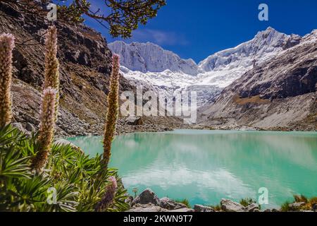 Llaca-See in Cordillera Blanca mit schneebedeckten Anden, Ancash, Peru Stockfoto