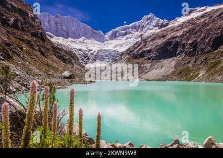 Llaca-See in Cordillera Blanca mit schneebedeckten Anden, Ancash, Peru Stockfoto