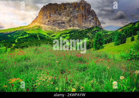 Langkofel, Sassolungo Pinnacles, Dolomiten sudtirol bei Cortina d Ampezzo Stockfoto