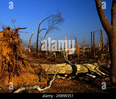 Schwere Stürme und Tornados, Madisonville, Ky, 9. Dezember 2005 - Hunderte von Bäumen, die durch einen Tornado von F4 zerstört wurden, der am 15. November landete, umgeben ein einsames Haus, das von fliegenden Gliedmaßen und Baumstämmen abgerissen wurde. Die Schäden und Verluste, die Hunderten von Häusern und verschiedenen Unternehmen entstanden sind, die von diesem Sturmsystem betroffen sind, wurden am 1. Dezember für staatliche Unterstützung erklärt. Gewinnen Sie ein Foto von Henderson/FEMA. Fotos zu Katastrophen- und Notfallmanagementprogrammen, Aktivitäten und Beamten Stockfoto