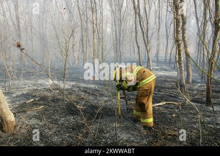 Severe Wildfire Threat, Shawnee, OK, 18. Januar 2006 Ein Feuerwehrmann der Shawnee Feuerwehr löscht Hitzköpfe nach einem Brand am Stadtrand. Bob McMillan/FEMA Photo.. Fotos zu Katastrophen- und Notfallmanagementprogrammen, Aktivitäten und Beamten Stockfoto