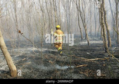 Severe Wildfire Threat, Shawnee, OK, 18. Januar 2006 Ein Feuerwehrmann der Shawnee Feuerwehr löscht heiße Stellen nach einem Brand am Stadtrand. Bob McMillan/FEMA Photo.. Fotos zu Katastrophen- und Notfallmanagementprogrammen, Aktivitäten und Beamten Stockfoto