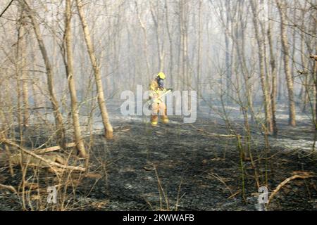 Severe Wildfire Threat, Shawnee, OK, 18. Januar 2006 Ein Feuerwehrmann der Shawnee Feuerwehr löscht Hitzköpfe nach einem Brand am Stadtrand. Bob McMillan/FEMA Photo.. Fotos zu Katastrophen- und Notfallmanagementprogrammen, Aktivitäten und Beamten Stockfoto