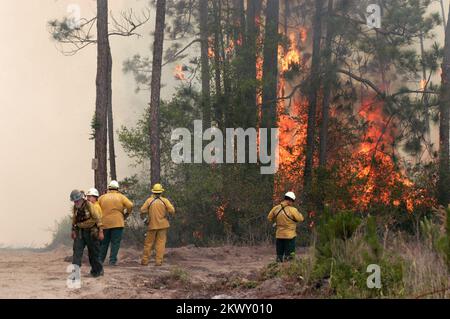 Lake City, Florida, 15. Mai 2007 Feuerwehrleute sehen, wie ein Bereich des Feuers auf der Fairview Road außer Kontrolle Gerät. Die Bemühungen, das Bugaboo-Feuer in Florida zu löschen, werden fortgesetzt. Die USA Department of Homeland Security┬Æs Federal Emergency Management Agency (FEMA) hat zwischen März 27. und Mai 10. 2007 5 Zuschüsse zur Unterstützung des Brandmanagements genehmigt, um Florida bei der Brandbekämpfung in 16 Bezirken zu unterstützen. Mark Wolfe/FEMA.. Fotos zu Katastrophen- und Notfallmanagementprogrammen, Aktivitäten und Beamten Stockfoto