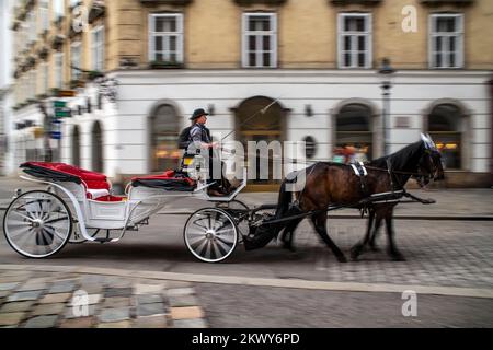 Wiener Fiaker, Pferdekutsche im Stadtzentrum von Wien, Österreich. Durch Wien in einer Pferdekutsche sind sie genauso ein Teil von V Stockfoto