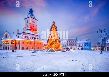 Brasov, Siebenbürgen. Verschneite Winterszene mit Weihnachtsbaum auf dem Hauptplatz, Rumänien. Stockfoto