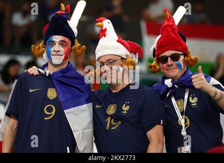 AR Rayyan, Katar, 30.. November 2022. Französische Fans vor dem Spiel der FIFA-Weltmeisterschaft 2022 im Education City Stadium, Ar Rayyan. Der Bildausdruck sollte lauten: David Klein / Sportimage Credit: Sportimage/Alamy Live News Stockfoto