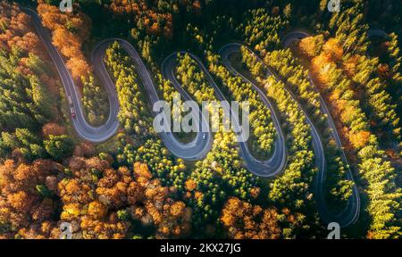 Bratocea berühmter gewundenen Pass, Karpaten, Rumänien. Herbstlandschaft auf Bergstraßen, Waldlandschaft. Stockfoto