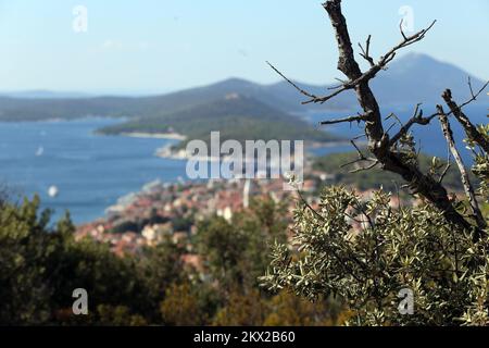 30.08.2017., Mali Losinj, Kroatien - Mali Losinj ist eine Stadt auf der kroatischen Insel Losinj im nördlichen Adriatischen Meer. Es ist bekannt für seinen großen natürlichen Hafen mit einer breiten Promenade. Foto: Goran Kovacic/PIXSELL Stockfoto