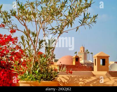 Skyline von Marrakesch von der Riad Terrace Stockfoto