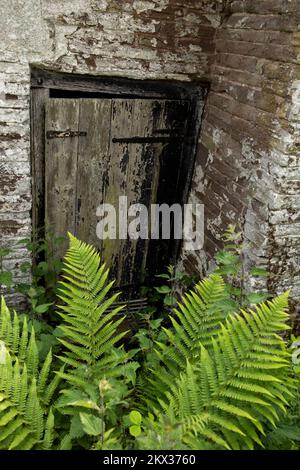 Die Schwarze Tür Stockfoto