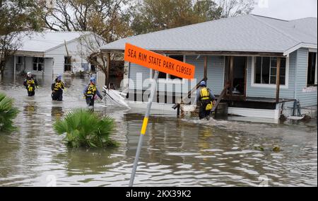 Hurricane Ike, Sabine Pass, TX, 14. September 2008 FEMA Urban Search and Rescue Indiana Task Force 1 führt Suchläufe in vom Hurrikan Ike betroffenen Vierteln durch. Sabine Pass, TX, USA, 14. September 2008 -- FEMA Urban Search and Rescue Indiana Task Force 1 führt Suchvorgänge in vom Hurrikan Ike betroffenen Vierteln durch. Fotos zu Katastrophen- und Notfallmanagementprogrammen, Aktivitäten und Beamten Stockfoto