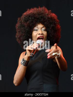 Marcia Barrett, von Boney M, beim Punchestown Music Festival 2017 in Dublin, Irland. *Nicht zur Veröffentlichung in Irland* verfügbar Stockfoto