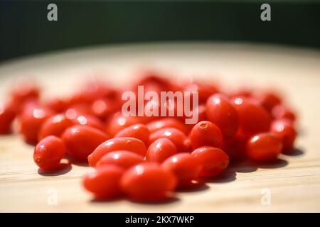 07.08.2018., Zagreb, Kroatien - Goji-Beeren. Kalorienarm, fettfrei, eine gute Quelle von Ballaststoffen und eine hoch antioxidative Nahrung, Goji-Beere Vorteile umfassen die Fähigkeit, Ihnen zu helfen, Krankheiten zu bekämpfen, effektiv Ihr Gewicht zu verwalten und eine bessere Verdauung erleben. Die vielseitigen Goji-Beeren, die in der Regel roh, getrocknet oder in flüssiger oder pulverförmiger Form verzehrt werden, enthalten eine breite Palette an Phytonährstoffen, Vitaminen und Spurenmineralien und geben ihnen von vielen Gesundheitsexperten den Namen „Superfood Beeren“. Foto: Igor Soban/PIXSELL Stockfoto