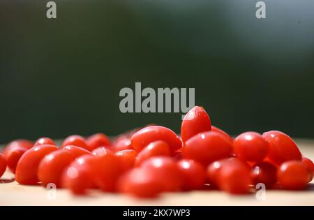 07.08.2018., Zagreb, Kroatien - Goji-Beeren. Kalorienarm, fettfrei, eine gute Quelle von Ballaststoffen und eine hoch antioxidative Nahrung, Goji-Beere Vorteile umfassen die Fähigkeit, Ihnen zu helfen, Krankheiten zu bekämpfen, effektiv Ihr Gewicht zu verwalten und eine bessere Verdauung erleben. Die vielseitigen Goji-Beeren, die in der Regel roh, getrocknet oder in flüssiger oder pulverförmiger Form verzehrt werden, enthalten eine breite Palette an Phytonährstoffen, Vitaminen und Spurenmineralien und geben ihnen von vielen Gesundheitsexperten den Namen „Superfood Beeren“. Foto: Igor Soban/PIXSELL Stockfoto