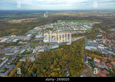 Luftaufnahme, Bayer AG, Chemiewerk, Herbstwald, Bergkam, Ruhrgebiet, Nordrhein-Westfalen, Deutschland, bunte Bäume, Bäume in Herbstfarben, Deutschland, Stockfoto