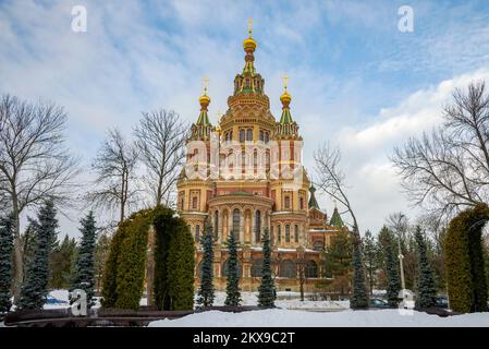 Die antike Kathedrale der Heiligen Apostel Peter und Paul an einem Wintertag. Peterhof, Russland Stockfoto