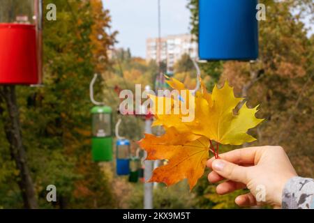 Halten Sie farbenfrohe Herbstblätter in der Seilbahn im Vergnügungspark von Charkiv. Kabelkabinen mit Herbstbäumen Stockfoto