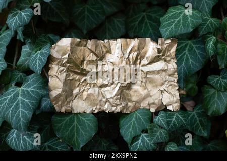 goldzerknitterte Papierseite auf Efeu hinterlässt Hintergrund, weiche Nahaufnahme Stockfoto