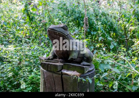 Hölzerner Frosch im Landschaftspark. Stockfoto