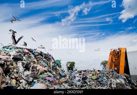 Deponie verschmutzt die Umwelt. Müllwagen. Vögel fliegen über Deponien Stockfoto