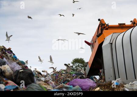 Deponie verschmutzt die Umwelt. Müllwagen. Vögel fliegen über Deponien Stockfoto