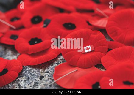 Remembrance Day rote Mohnblumen auf dem Grab des unbekannten Soldaten in Ottawa, Kanada Stockfoto