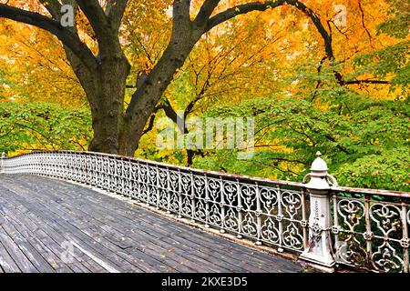 Fußbrücke aus Eisen und Holz mit Bäumen in wunderschönen Herbstfarben. Stockfoto