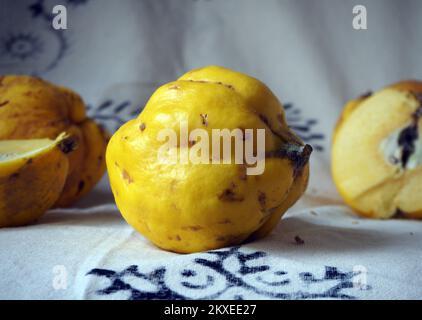 Quitten auf weißem Hintergrund mit schwarzen Motiven. Stockfoto