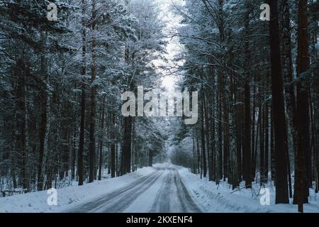 Winterlandschaft, Winterwald, Winterstraße und Bäume, Kiefern bedeckt mit Schnee, Panoramablick Foggy, bewölkt, frostiger Tag, stimmungsvolle Aufnahme Stockfoto
