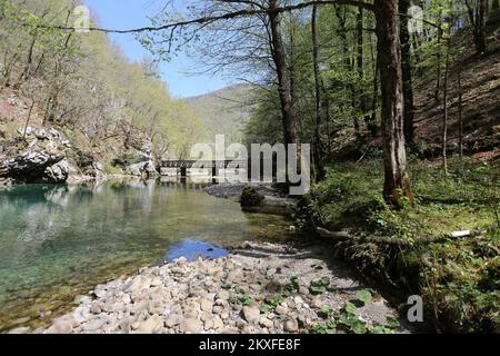 17.04.2020., Crni LUG , Kroatien - das Gebiet wurde am 12.. Dezember 1963 mit einer Fläche von 10 ha zum Schutzgebiet erklärt. Die Quelle des Kupa-Flusses im Risnjak-Nationalpark ist eine von vielen ungelösten karsträtseln, eine der mächtigsten, ausgedehntesten und tiefsten kroatischen Quellen. 321 Meter über dem Meeresspiegel wird Sie die geformte Wassermasse des türkisgrünen und blauen Sees durch sein Aussehen verzaubern. Der obere Fluss des Kupa-Flusses wird dank seiner reichen Flora und Fauna das verzauberte Schmetterlingstal genannt.Ein Besuch der Kupa-Quelle ist von zwei directionsâ aus zu erreichen Stockfoto