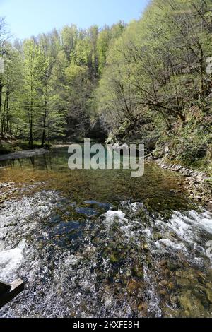 17.04.2020., Crni LUG , Kroatien - das Gebiet wurde am 12.. Dezember 1963 mit einer Fläche von 10 ha zum Schutzgebiet erklärt. Die Quelle des Kupa-Flusses im Risnjak-Nationalpark ist eine von vielen ungelösten karsträtseln, eine der mächtigsten, ausgedehntesten und tiefsten kroatischen Quellen. 321 Meter über dem Meeresspiegel wird Sie die geformte Wassermasse des türkisgrünen und blauen Sees durch sein Aussehen verzaubern. Der obere Fluss des Kupa-Flusses wird dank seiner reichen Flora und Fauna das verzauberte Schmetterlingstal genannt.Ein Besuch der Kupa-Quelle ist von zwei directionsâ aus zu erreichen Stockfoto