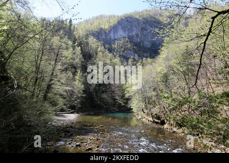 17.04.2020., Crni LUG , Kroatien - das Gebiet wurde am 12.. Dezember 1963 mit einer Fläche von 10 ha zum Schutzgebiet erklärt. Die Quelle des Kupa-Flusses im Risnjak-Nationalpark ist eine von vielen ungelösten karsträtseln, eine der mächtigsten, ausgedehntesten und tiefsten kroatischen Quellen. 321 Meter über dem Meeresspiegel wird Sie die geformte Wassermasse des türkisgrünen und blauen Sees durch sein Aussehen verzaubern. Der obere Fluss des Kupa-Flusses wird dank seiner reichen Flora und Fauna das verzauberte Schmetterlingstal genannt.Ein Besuch der Kupa-Quelle ist von zwei directionsâ aus zu erreichen Stockfoto