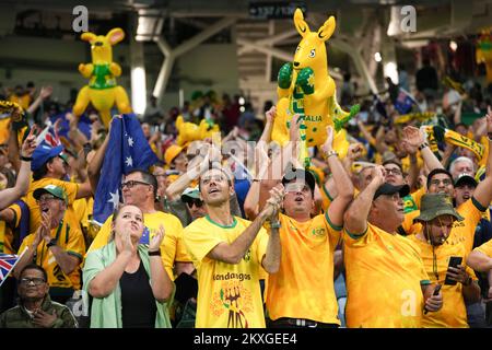 Al-Wakrah, Katar. 30.. November 2022. Fans Australiens feiern nach dem Spiel der Gruppe D zwischen Australien und Dänemark bei der FIFA-Weltmeisterschaft 2022 im Al Janoub Stadium in Al Wakrah, Katar, am 30. November 2022. Kredit: Zheng Huansong/Xinhua/Alamy Live News Stockfoto