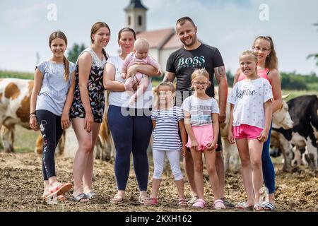 Die neunköpfige Familie Blazekovic in Kric Gornji in der Gemeinde Zrinski Topolovac verfügt über einen Betrieb mit Kühen, Rindern und Kälbern, insgesamt 80 Stück Simmental- und Holstein-Rindern. Die Kühe weiden vom Frühling bis zum Spätherbst auf den Wiesen unter dem Haus. Neben der Rinderzucht sind sie auch in der Landwirtschaft tätig, so dass sie 27 Hektar Land anbauen. Tijana und Darko haben sieben Töchter (Lana, Larisa, Lucia, Lara, Lena i jüngste Lota) und sie alle lieben es, ihre Eltern zu halfen, bis auf die jüngste. In Kroz Gornji, Kroatien auf 24. Juli 2020. Foto: Tomislav Miletic/PIXSELL Stockfoto