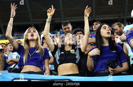 Doha, Katar. 30.. November 2022. Argentinische Fans beim FIFA-Weltmeisterschaftsspiel 2022 im Stadium 974 in Doha. Der Bildausdruck sollte lauten: David Klein/Sportimage Credit: Sportimage/Alamy Live News Stockfoto