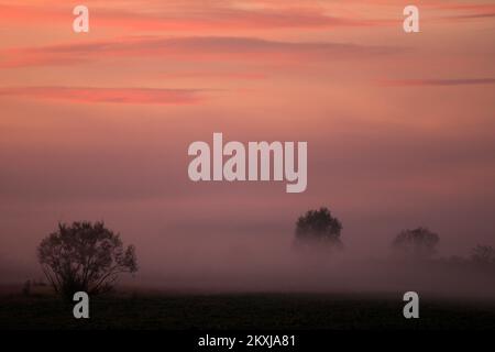 Foto aufgenommen am 23. Oktober 2020. Zeigt einen Sonnenaufgang in der Nähe von Slavonski Brod, Kroatien. Foto: Emica Elvedji/PIXSELL Stockfoto