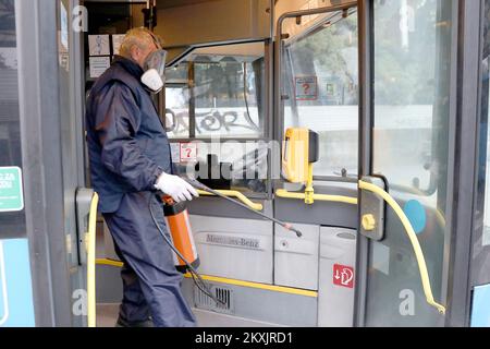 Am 26. November 2020 desinfiziert ein ZET-Mitarbeiter Busse in der Paromlinska-Straße in Zagreb, Kroatien. In den letzten 24 Stunden gab es in Kroatien 4,009 neue COVID-19-Fälle. Die neuen Maßnahmen zur Eindämmung des Coronavirus-Ausbruchs würden vom Samstag, den 28. November, bis Montag, den 21. Dezember, in Kraft treten. Die Belegung mit öffentlichen Verkehrsmitteln darf 40 Prozent der verfügbaren Sitzplätze nicht überschreiten. Fahrer, Mitarbeiter und Passagiere müssen Gesichtsmasken tragen. Die Kontrolle wird von Inspektoren des Verkehrsministeriums, Polizeibeamten, durchgeführt. Foto: Patrik Macek/PIXSELL Stockfoto