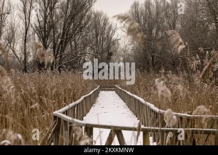 Die Winterlandschaft wird am 21. Januar 2021 im Naturpark Kopacki rit gezeigt. Foto: Dubravka Petric/PIXSELL Stockfoto