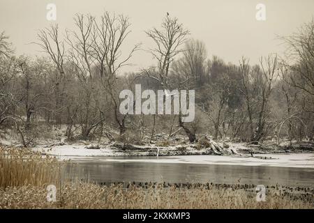 Die Winterlandschaft wird am 21. Januar 2021 im Naturpark Kopacki rit gezeigt. Foto: Dubravka Petric/PIXSELL Stockfoto