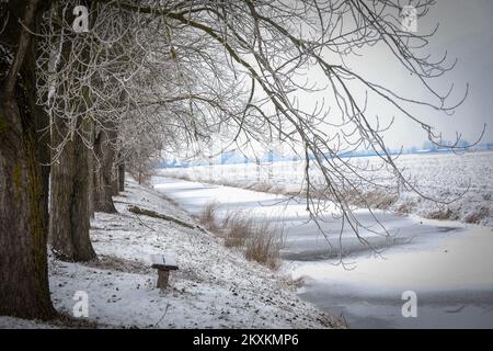 Die Winterlandschaft wird am 21. Januar 2021 im Naturpark Kopacki rit gezeigt. Foto: Dubravka Petric/PIXSELL Stockfoto