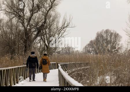 Die Winterlandschaft wird am 21. Januar 2021 im Naturpark Kopacki rit gezeigt. Foto: Dubravka Petric/PIXSELL Stockfoto