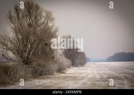 Die Winterlandschaft wird am 21. Januar 2021 im Naturpark Kopacki rit gezeigt. Foto: Dubravka Petric/PIXSELL Stockfoto