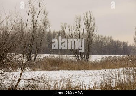 Die Winterlandschaft wird am 21. Januar 2021 im Naturpark Kopacki rit gezeigt. Foto: Dubravka Petric/PIXSELL Stockfoto