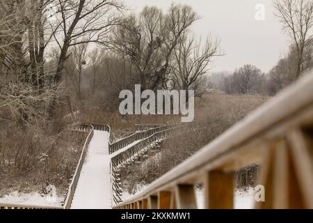 Die Winterlandschaft wird am 21. Januar 2021 im Naturpark Kopacki rit gezeigt. Foto: Dubravka Petric/PIXSELL Stockfoto