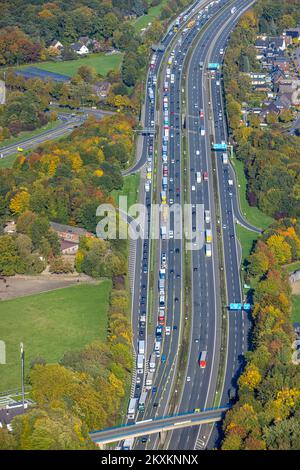 Luftaufnahme, Lkw-Stau auf der Autobahn A2 Dreieck Bottrop, Stadtwald, Bottrop, Ruhrgebiet, Nordrhein-Westfalen, Deutschland, Autobahn, DE, Europa, Stockfoto