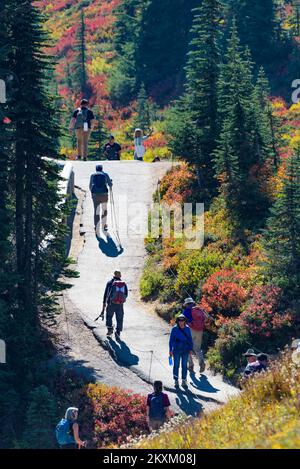 Mount Rainier, WA, USA - 05. Oktober 2022; Wanderer im Herbst auf dem Mount Rainier Walking Trail bei Myrtel Falls Stockfoto