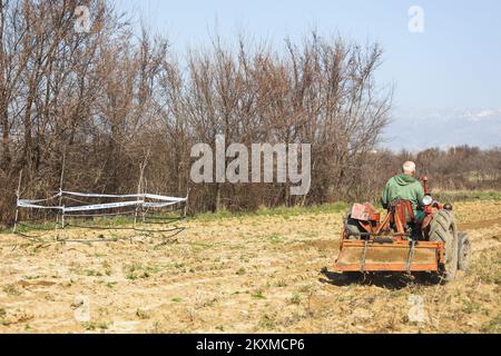 Der pensionierte Polizist Velimir Coso wird am 26. Februar 2021 fotografiert, indem er das Land mit einem Traktor neben einem Loch kultiviert, das er auf seinem Feld im Dorf Islam Grcki bei Benkovac in Zadar County, Kroatien, gebaut hat. Foto: Marko Dimic/PIXSELL Stockfoto