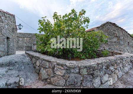 Sortelha, Aldeias historicas de Portugal, Sabugal, Guarda, Portugal Stockfoto